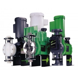 Pulsar Family_01-25HJ (2)